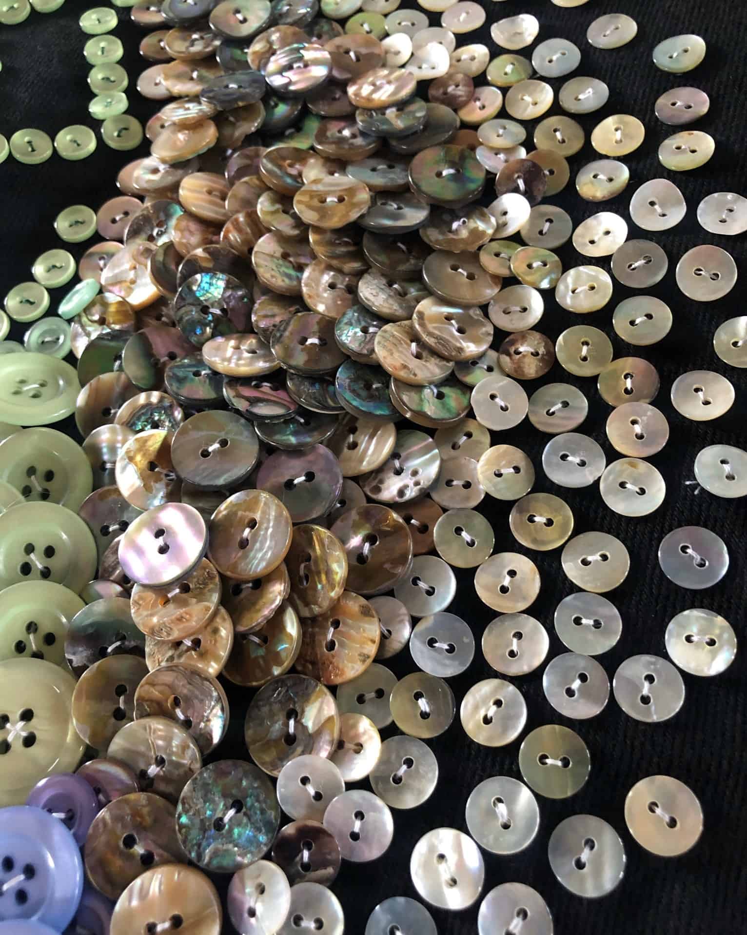 Inline Image - Image courtesy of Ann Carrington