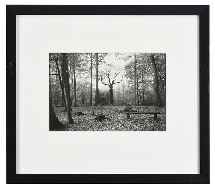 Inline Image - λ Lot 11: ‘Speech House Picnic Place, Forest Of Dean’, 1985, Fay Godwin (British 1931-2005), Photograph | Est. £200-400 (+ fees)