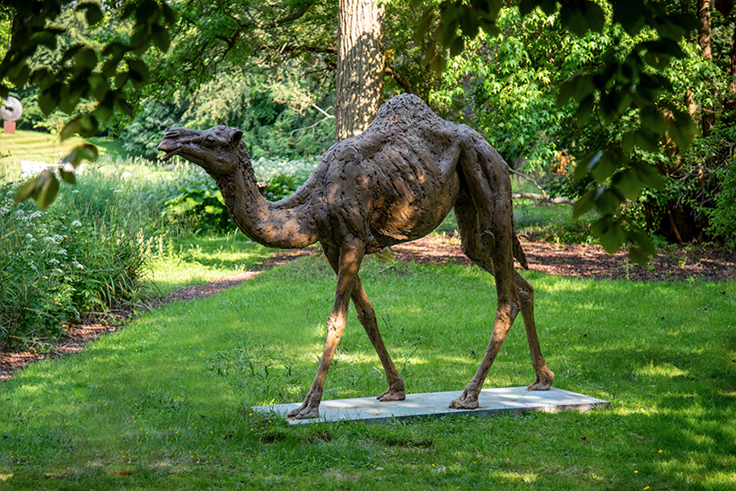 Hamish 03 - 820w.jpg