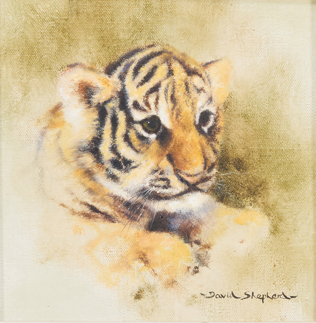 Lot 62. David Shephed, A Tiger Cub