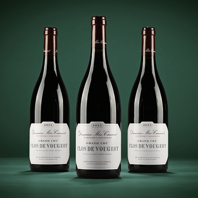 2022 Domaine Meo Camuzet, Clos de Vougeot Grand Cru