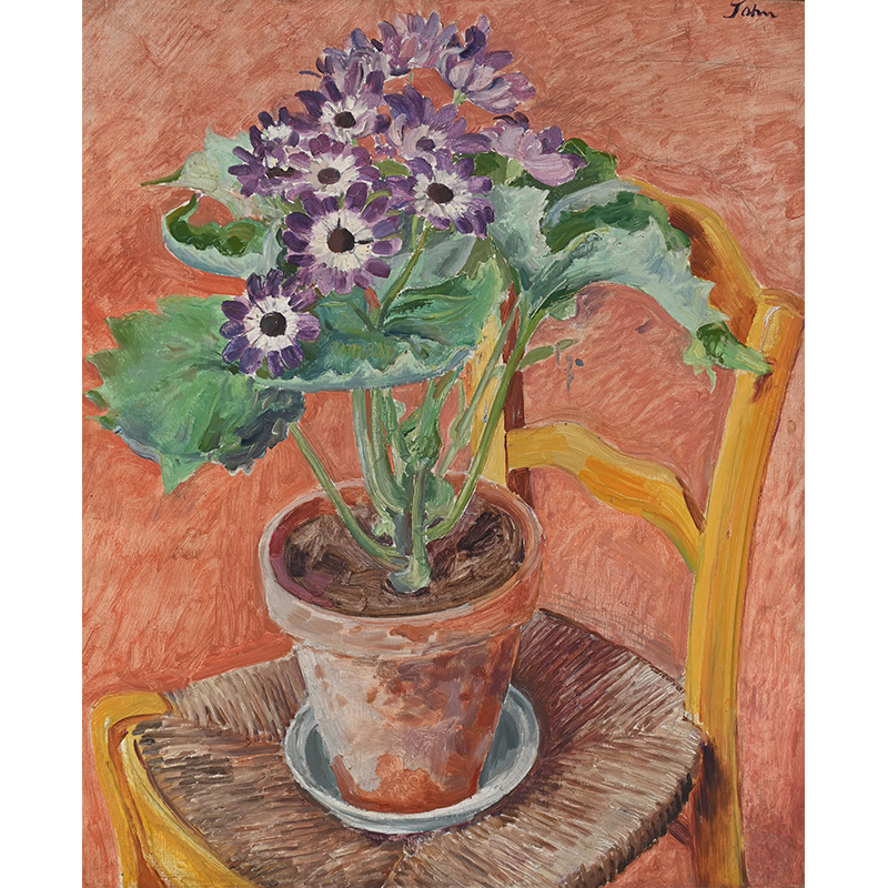 λ Augustus John (British 1878-1961), Still Life, Cineraria in a Terracotta Pot, oil on canvas