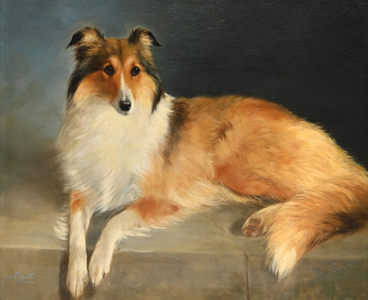 69 Lillian Cheviot, A Collie Lying On A Stone Wall