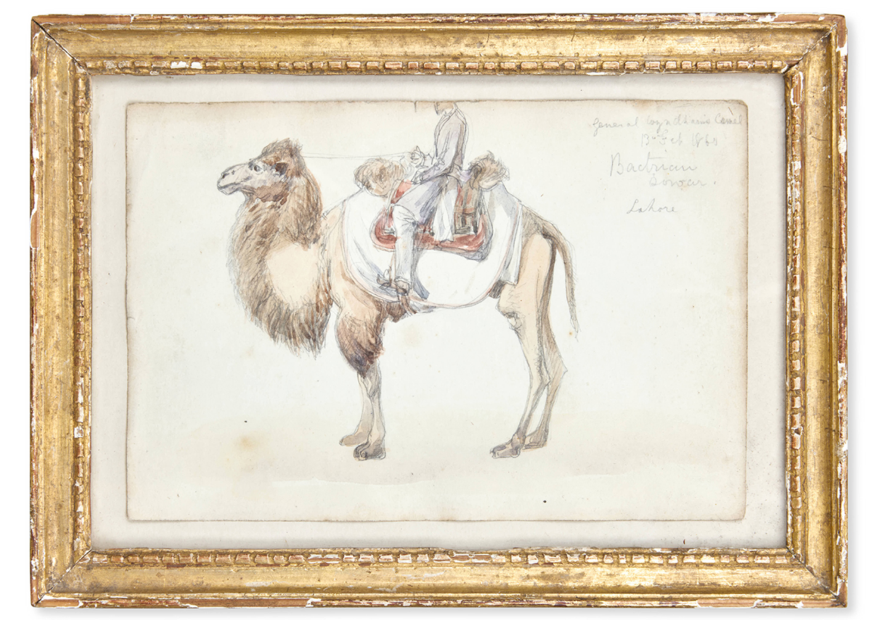 Lot 678