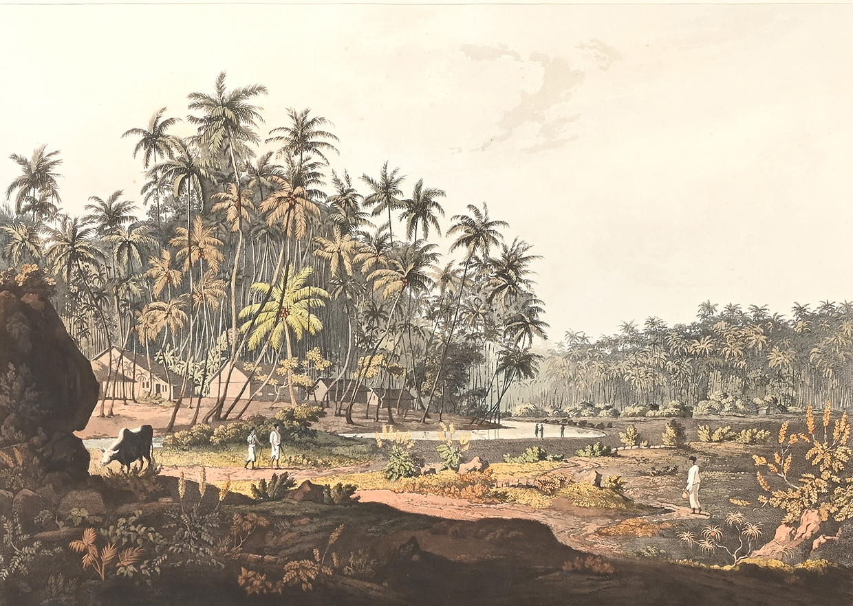 Henry Salt, View Near The Point De Galle, Ceylon