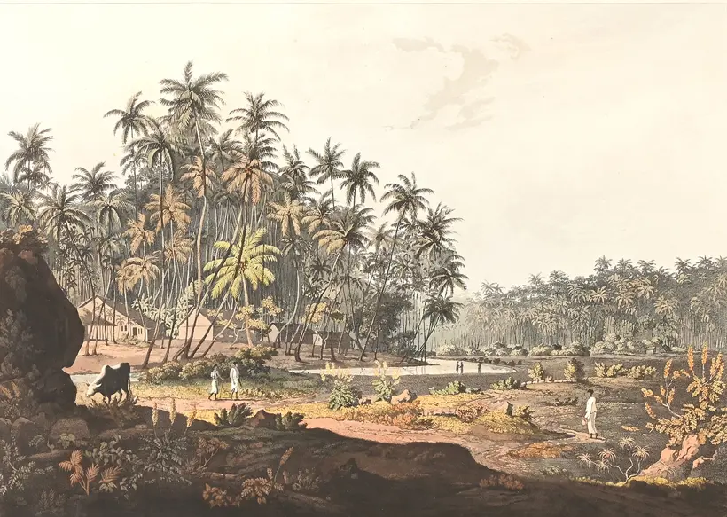 Ceylonese Furniture: Timber, Craftsmanship and Global Trade | Dreweatts
