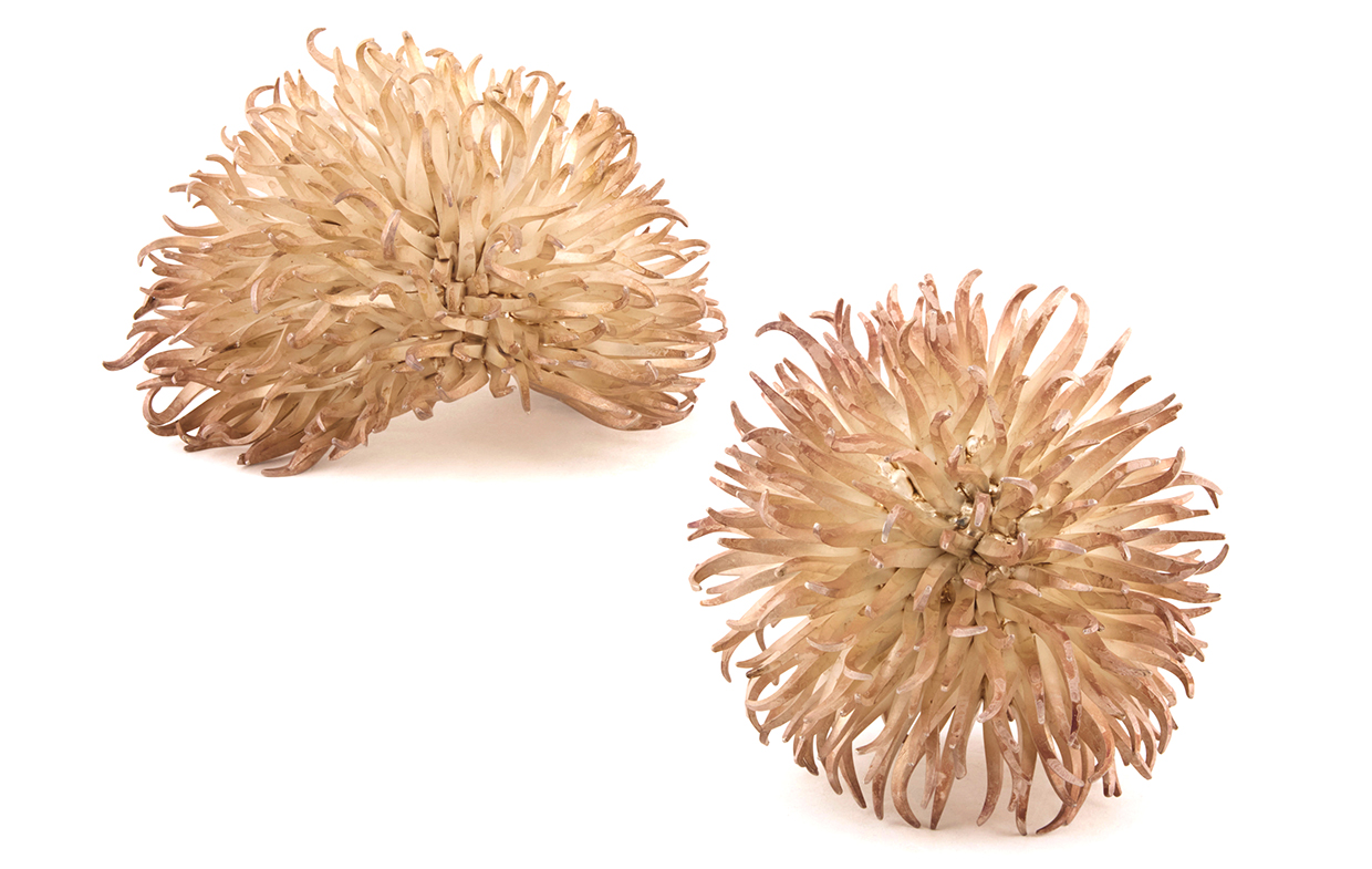 Junko Mori, Organisms