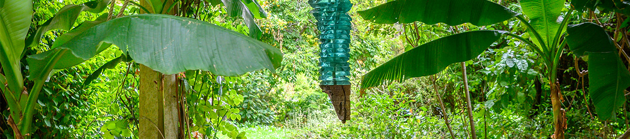 Of Material and Place: Contemporary Design | Modern Design & Decorative Art | 7 October 2026
